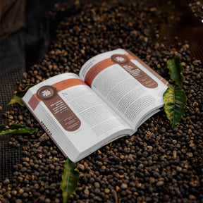 Café com Deus Pai 2025 | Porções diárias de transformação